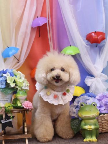 20230629クーくん